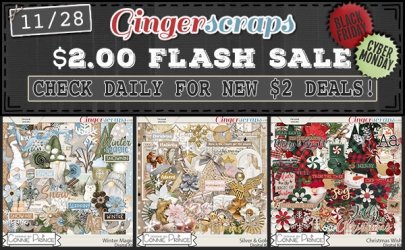 1128 $3 Flash SALE.jpeg 1128 $3 Flash SALE.jpeg