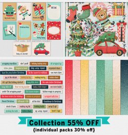 NEWSLETTER-SHOWCASE-HolidayP-2.jpg