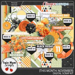 TWINMOMSCRAPS_THIS_MONTH_NOV.jpg