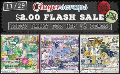 1129 $3 Flash SALE.jpeg