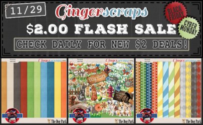 2025 Flash Sale - 11-29.jpg