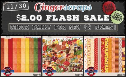 2025 Flash Sale - 11-30.jpg
