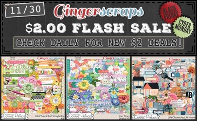 1130 $3 Flash SALE.jpeg
