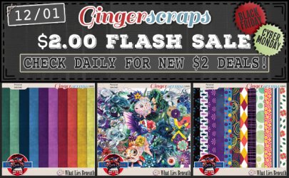 2025 Flash Sale - 12-01.jpg