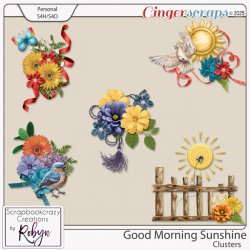 SCR-GMSunshine-ClprevGS.jpg