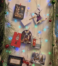 IMG_0491.jpeg