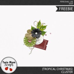 TWINMOMSCRAPS_TROPICAL_CHRISTMAS_CLUSTER.jpg