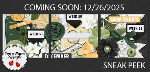 TWINMOMSCRAPS_THIS_MONTH_DECEMBER_SNEAK.jpg