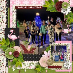 Aprilisa_PicturePerfect318_Tropicsl-Christmas.jpg