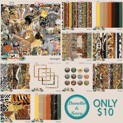 BUNDLE-803.jpg