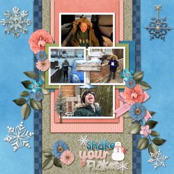 SCR-SnowIJ-Chris-01.jpg