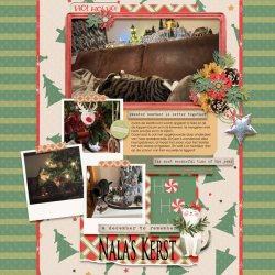 2025 Nala's Kerst_DDchal26-01_MFish_GSNL2-22_01 copy.jpg