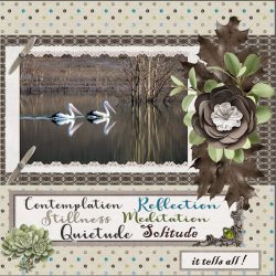 9th - January 2026 - Reflection challenge-Perfect xxx.jpg
