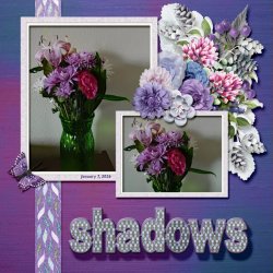 shadow small.jpg