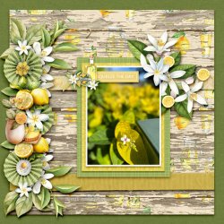 SCR-LemonS-Kimberly-01.jpg