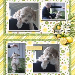 SCR-LemonS-Robyn-02.jpg