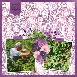 Blackberry Dream-The Brit Chick for Temp Challenge 1.jpg