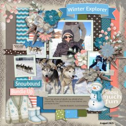 DLPatt_WinterExplorer_web.jpg