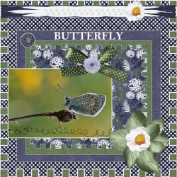 32th - January 2025 Use It All Challenge-Butterfly.jpg