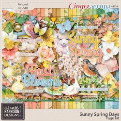 aimeeh_sunnyspringdays_kit.jpg