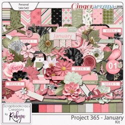 SCR-Project365-Jan-kitprevGS.jpg