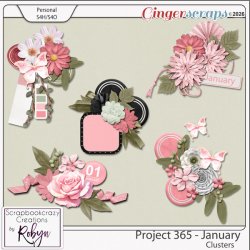SCR-Project365-Jan-ClprevGS.jpg