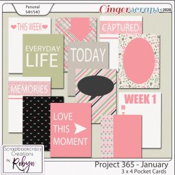 SCR-Project365-Jan-3x4PjcprevGS.jpg