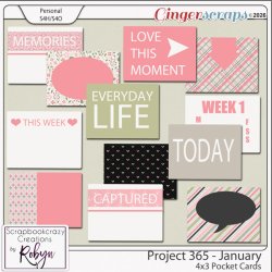 SCR-Project365-Jan-4x3PjcprevGS.jpg