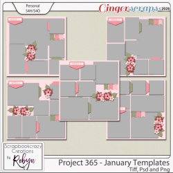 SCR-Project365-Jan-TempprevGS.jpg