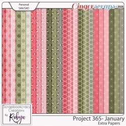 SCR-Project365-Jan-ExtrapprevGS.jpg
