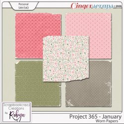 SCR-Project365-Jan-WornpprevGS.jpg