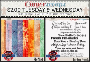 01-27&01-28 $2TW.jpg