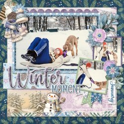 WinterMoment_ollitko_600.jpg