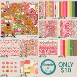 Bundle-810.jpg