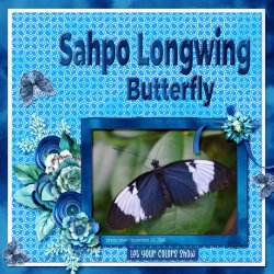 Sahpo Longwing Butterfly small.jpg