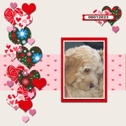 SCR-LoveFeb-Robyn-01.jpg SCR-LoveFeb-Robyn-01.jpg