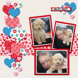 SCR-LoveFeb-Robyn-03.jpg SCR-LoveFeb-Robyn-03.jpg