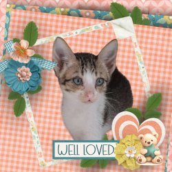 Lily - 3 months.jpg