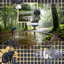 PuddleJumper_ollitko_600.jpg