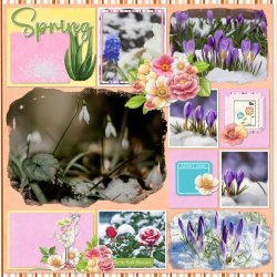 spring garden.jpg