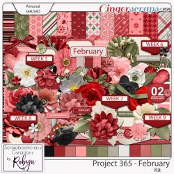 SCR-Project365-Feb-KitprevGS.jpg