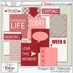SCR-Project365-Feb-3x4PjcprevGS.jpg