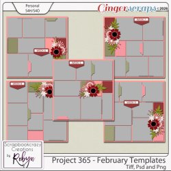 SCR-Project365-Feb-TempprevGS.jpg