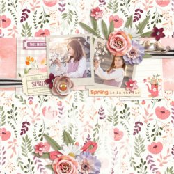 spring-is-in-the-air-a-beautiful-story-layout.jpg