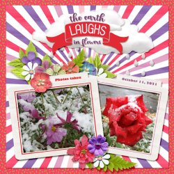flowers small.jpg