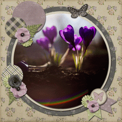 03-March-26-Photography-Challenge.gif