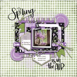 DLPatt_SpringIsInTheAir_web.jpg