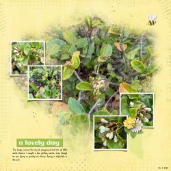 Flowers&Bee.jpg