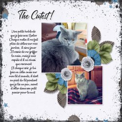 Here comes trouble de Jumpstart-photos et journaling perso.jpg