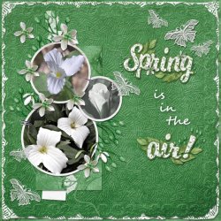 Kmess_SPTemplate2-3--Spring.jpg